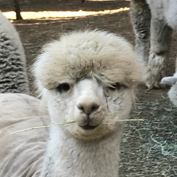 Meet your Posher, Michele - Picture 5 of 8